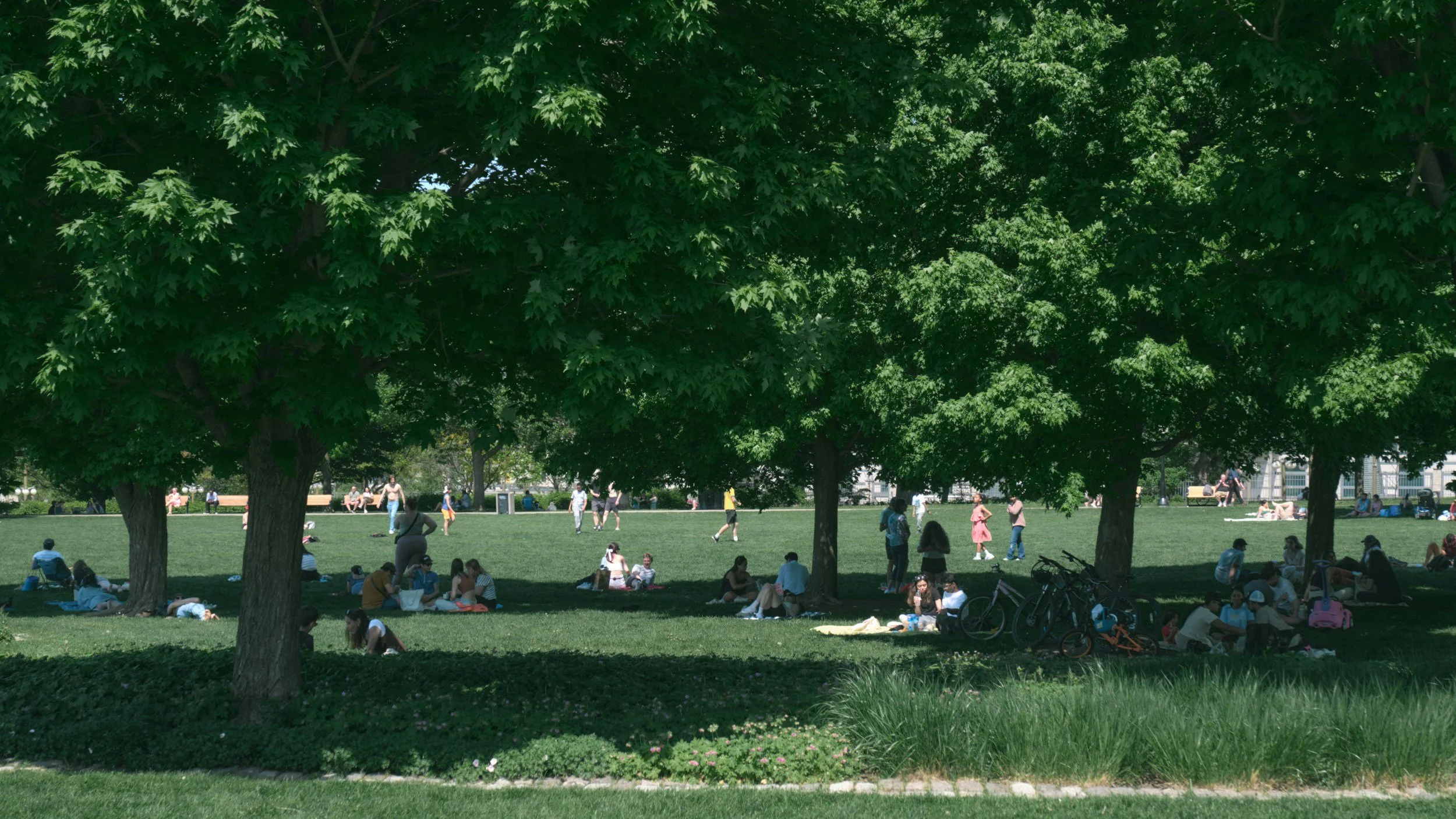 Epic Neighborhood Picnic / Service in the Park