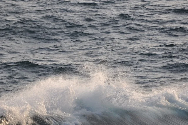 bow wake.jpg