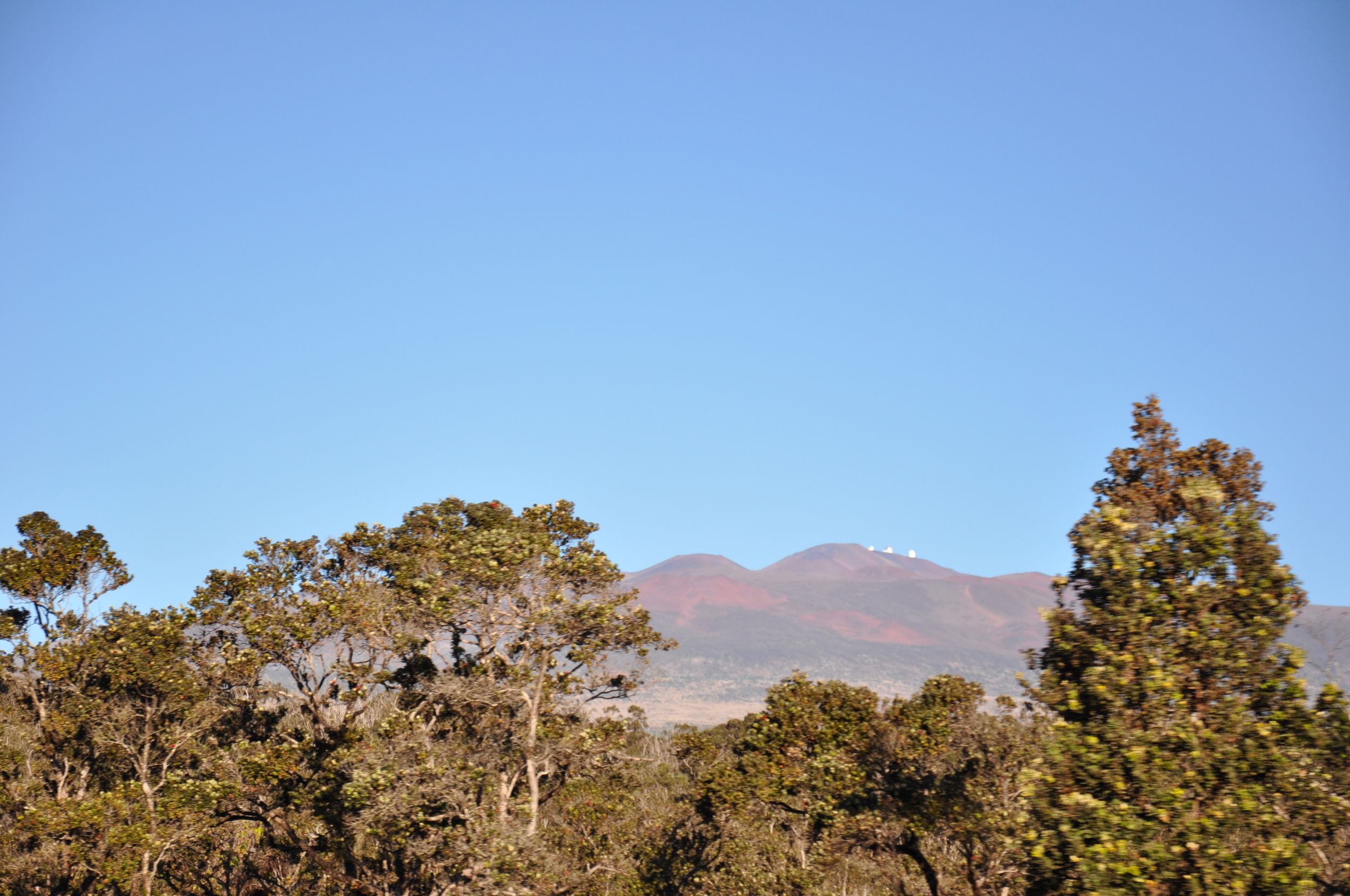 DSC_0028.JPG