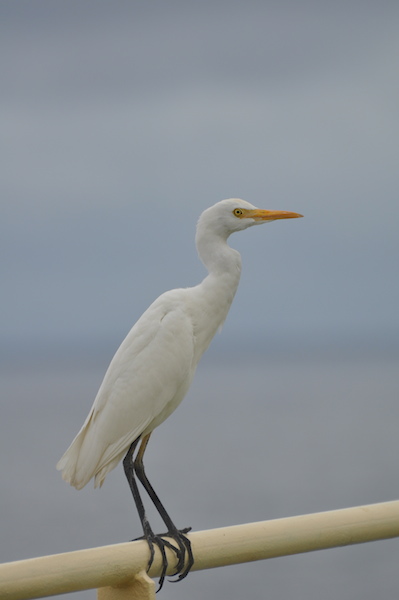 DSC_0435_2.jpg