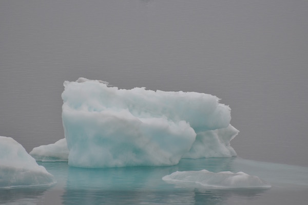 DSC_0098.jpg