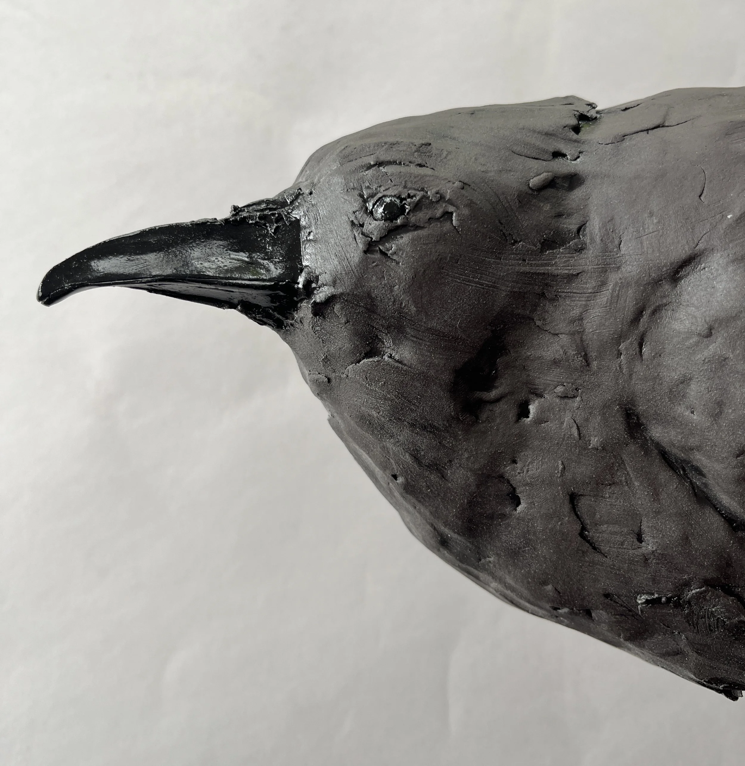 E9D06827-C164-4F7D-B308-77EE95E0B1F7_1_201_a.jpeg