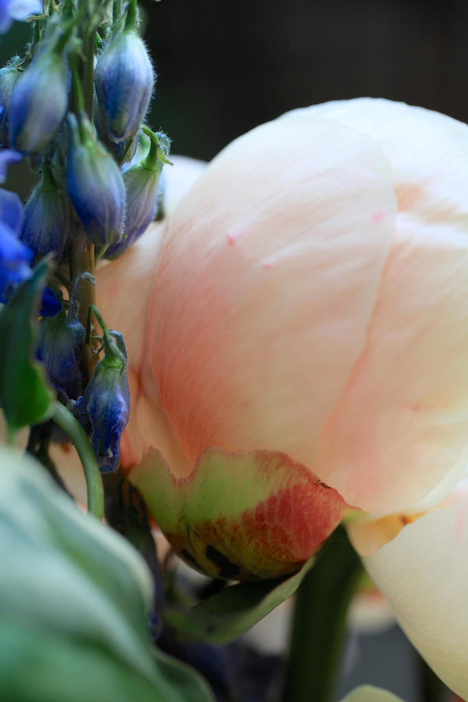 Flower Arrangement