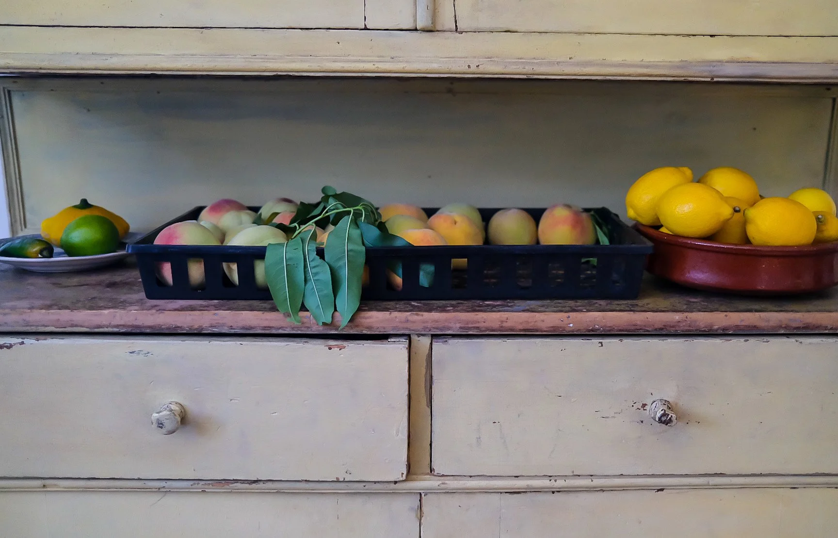 Kitchen Harvest