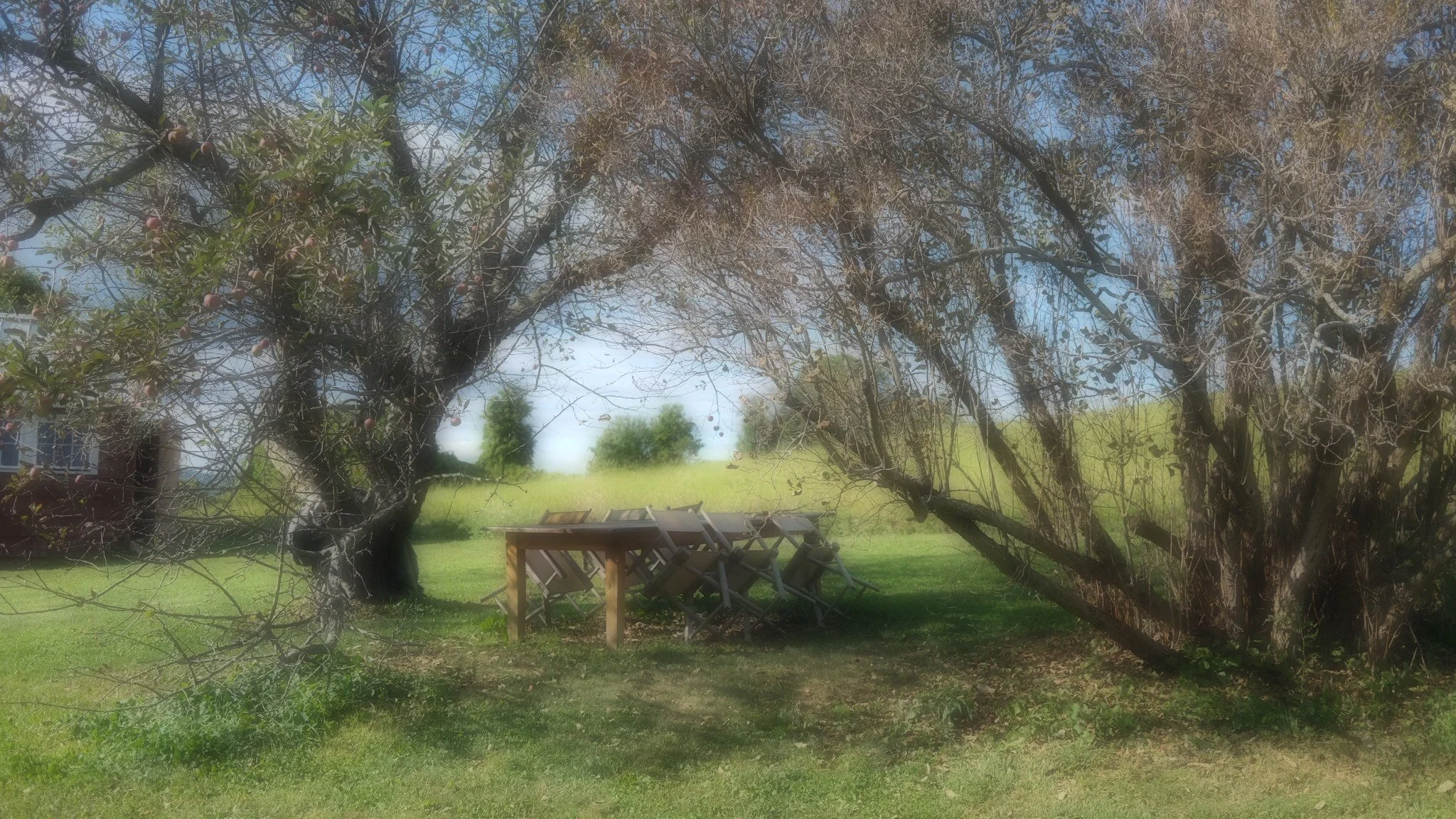 Breezy Hill Picnic