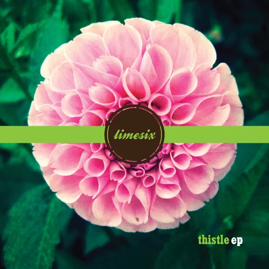 limesix_thistle.jpg