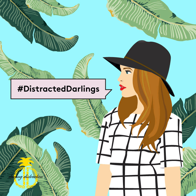 DarlingDistraction_#DistractedDarlings_EmilyZirimis_.gif