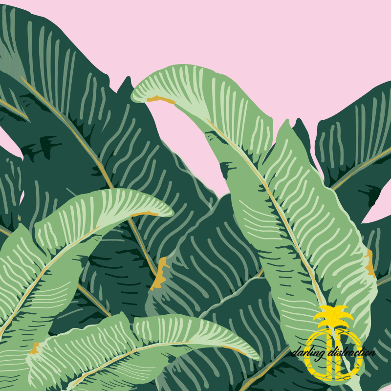 DarlingDistraction_SideWalkSale_EmilyZirimis.gif