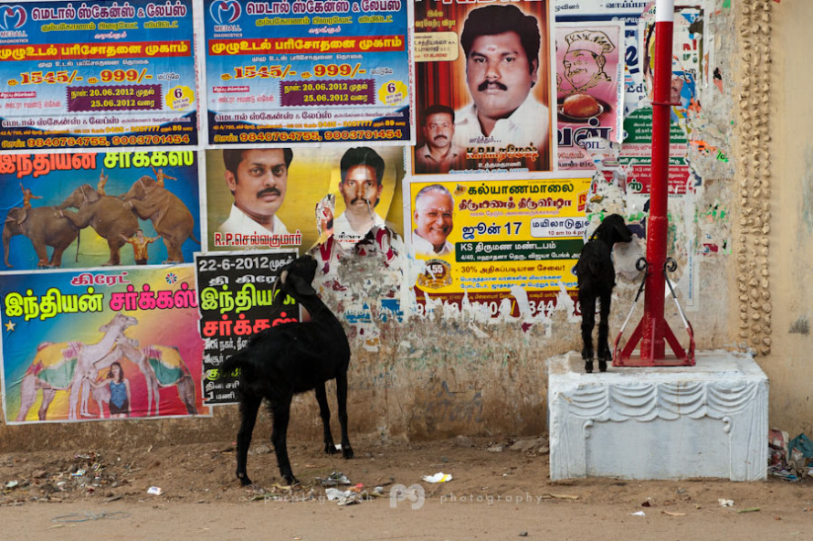 kumbakonam_colors009.jpg