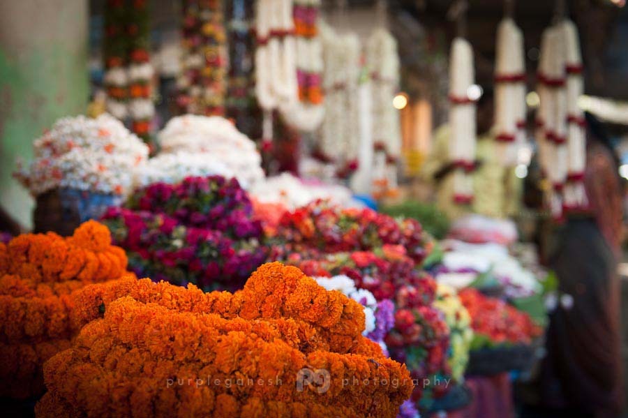 purpleganesh_flowermarket_logo04.jpg