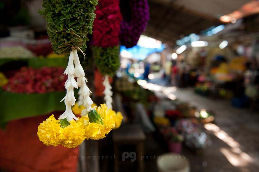 purpleganesh_flowermarket_logo05.jpg