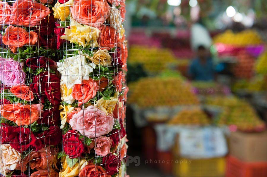 purpleganesh_flowermarket_logo08.jpg