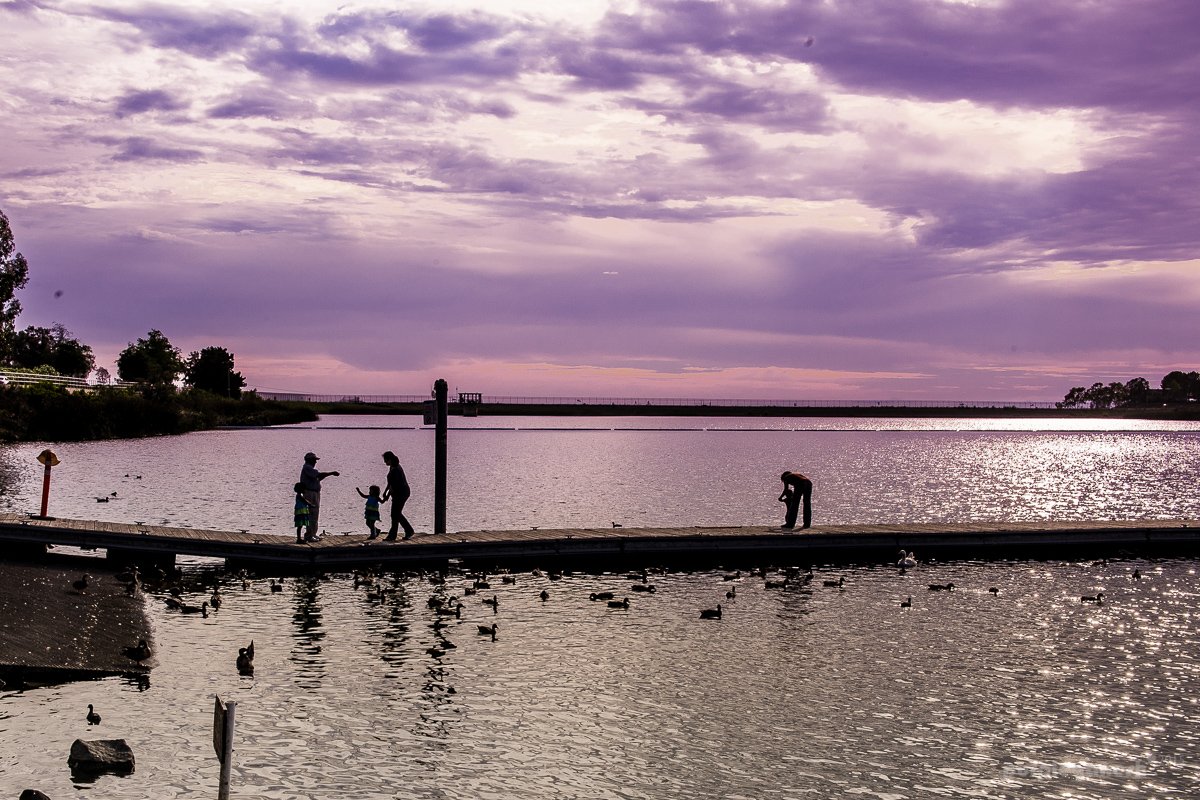 2015_Summer-2259.jpg