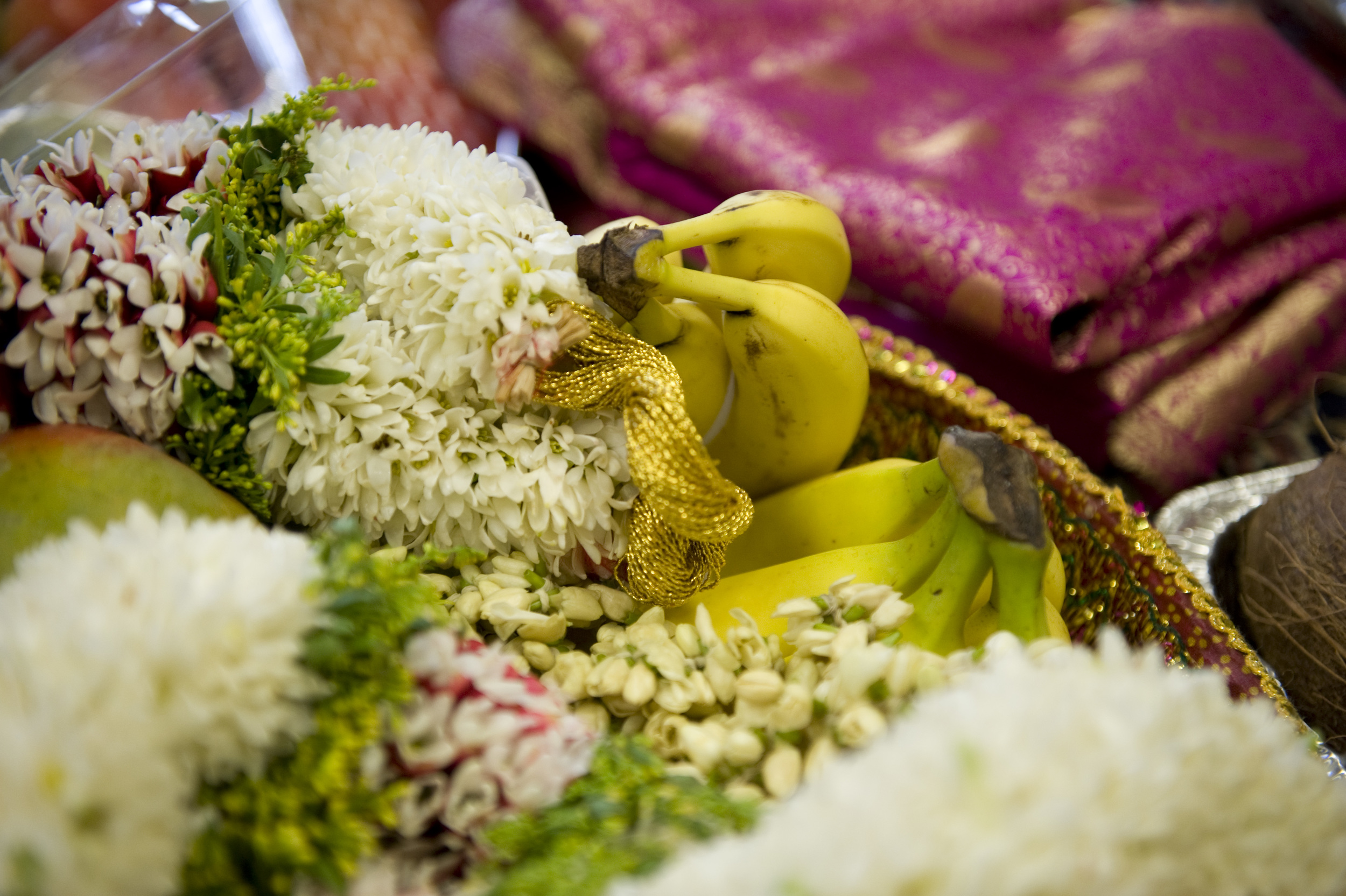 KriPa_PurpleSelect_PGH_0654.JPG