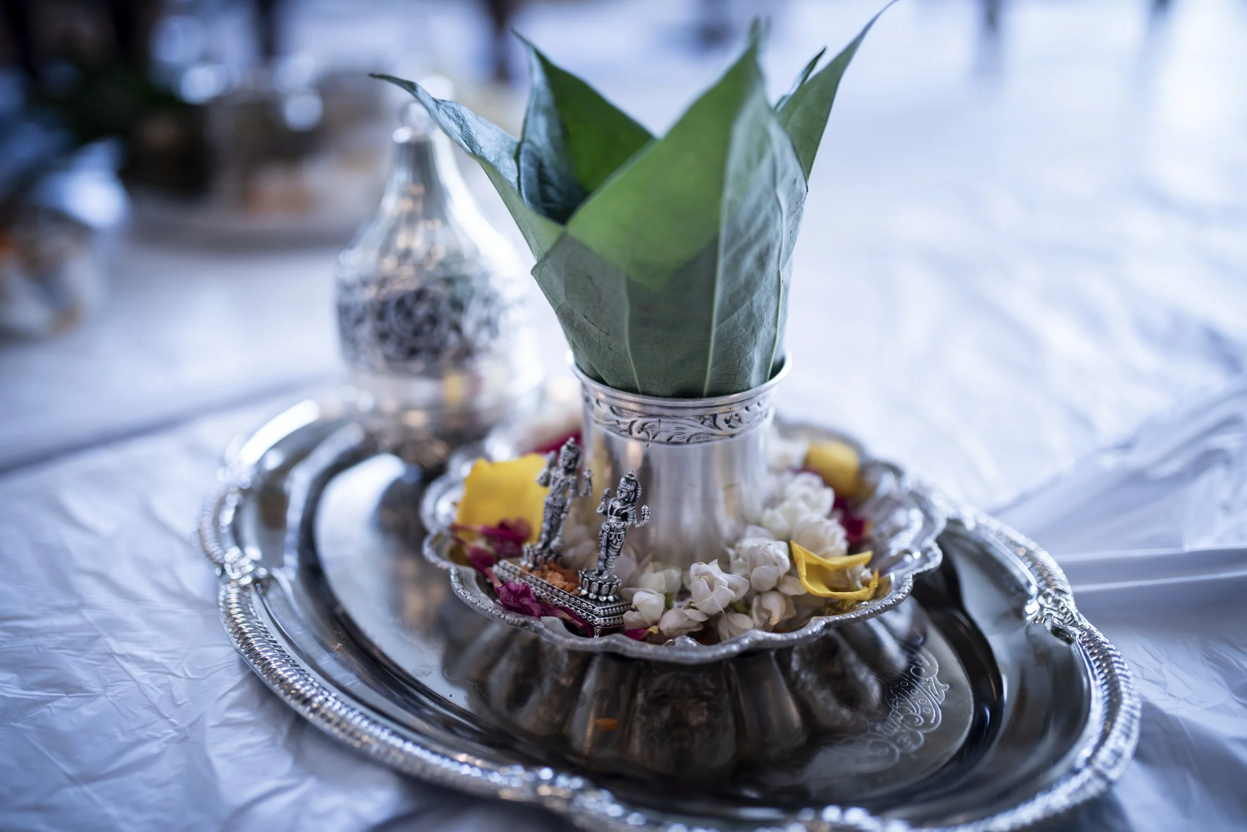 Gautami_Ryan_Fav_HiRes-3730.jpg