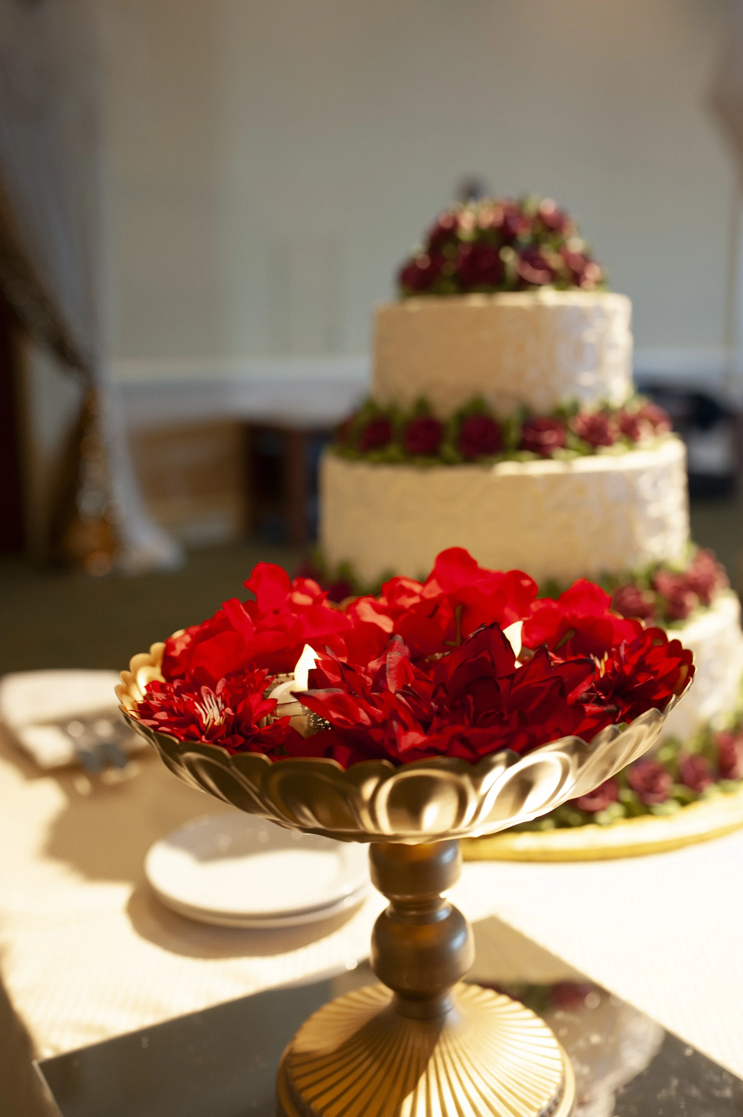 Gautami_Ryan_Reception_HiRes-4760.jpg