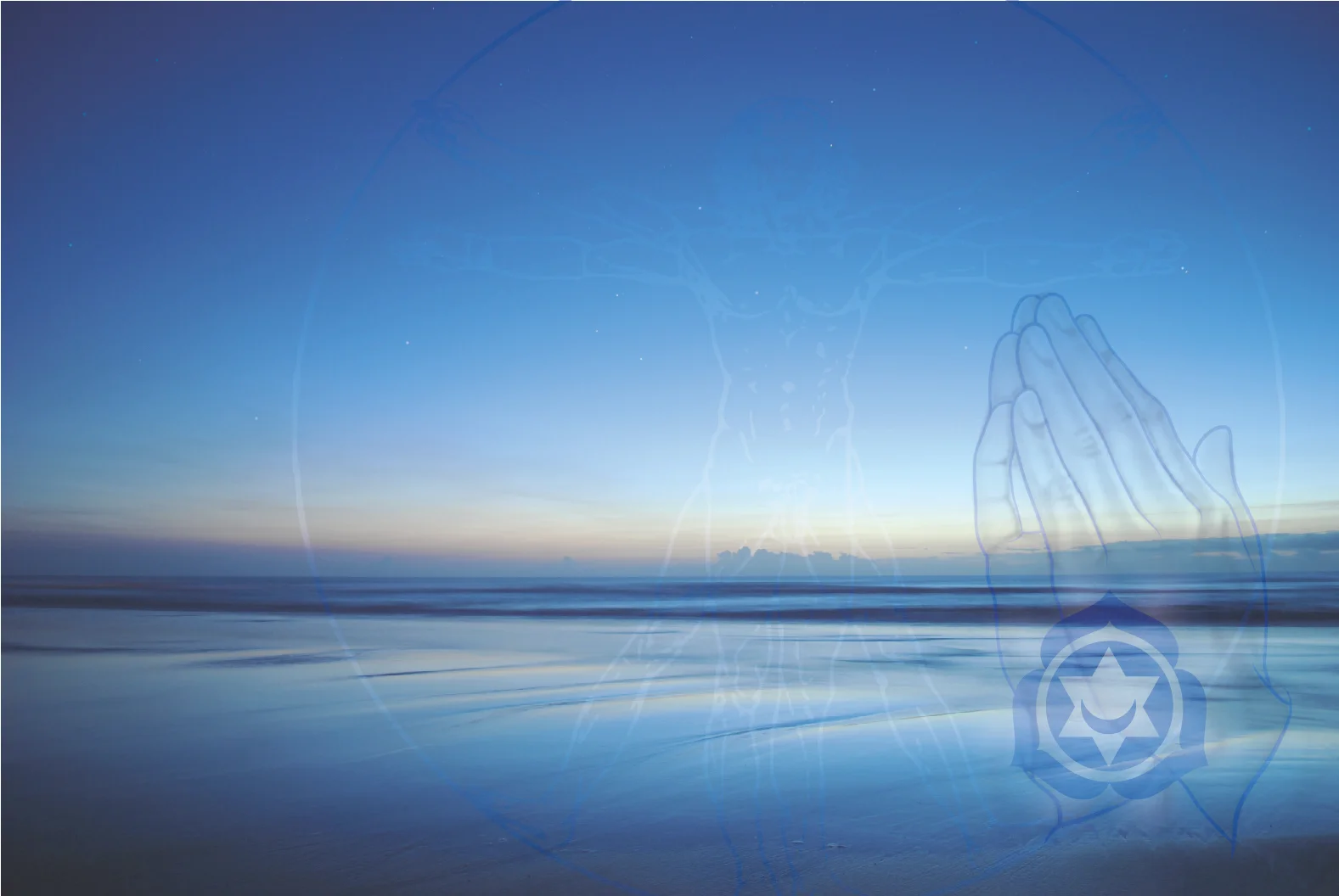 TIMMAYO bkgd webimg-01.jpg