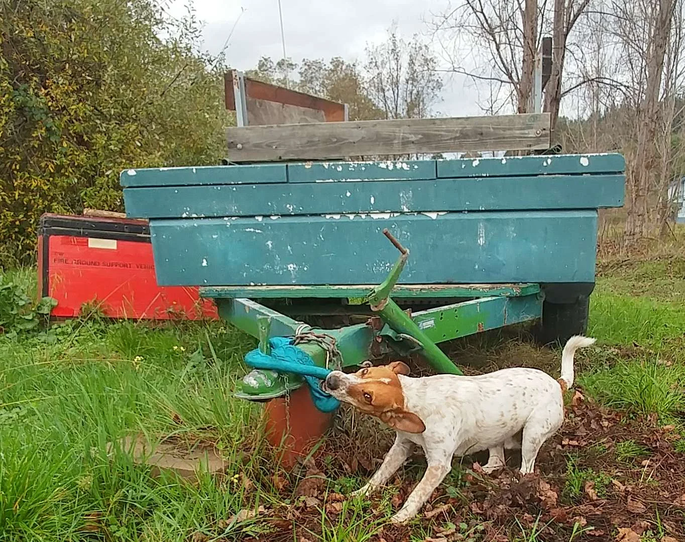 1123171125_HDR-1.jpg