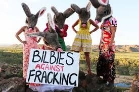 bilbies+fracking.jpg