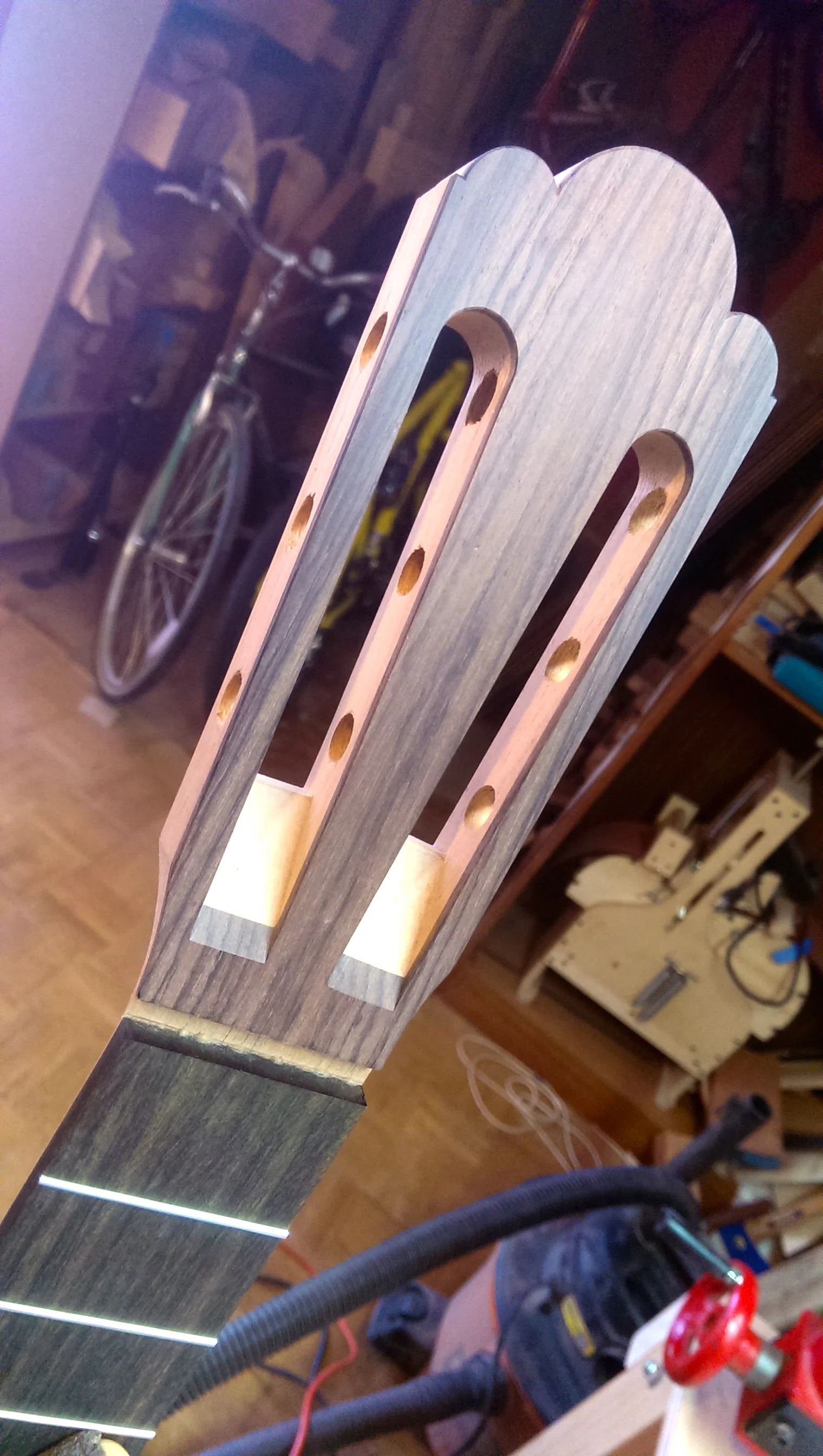 IMAG0884.jpg
