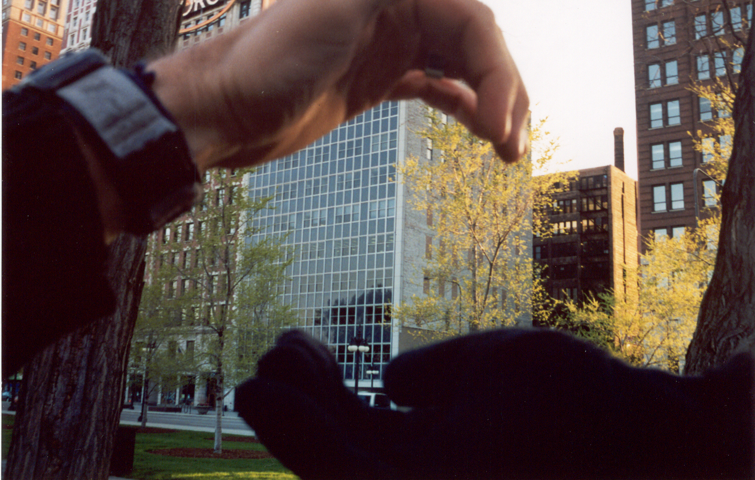 site hands.jpg