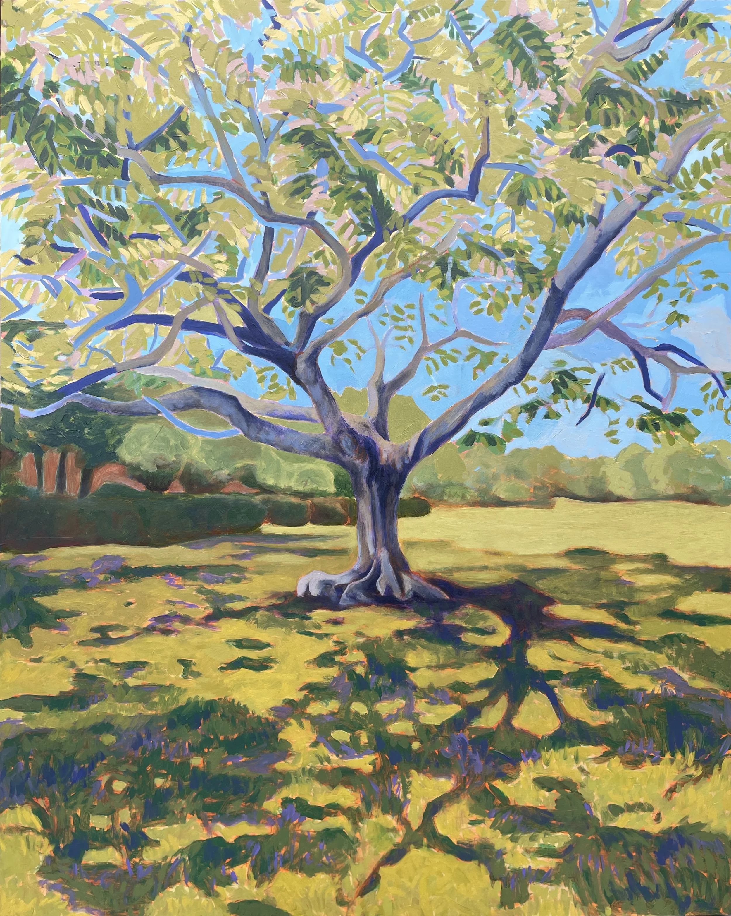 Leaves for Healing -
Oil on panel, 24x30,
2025