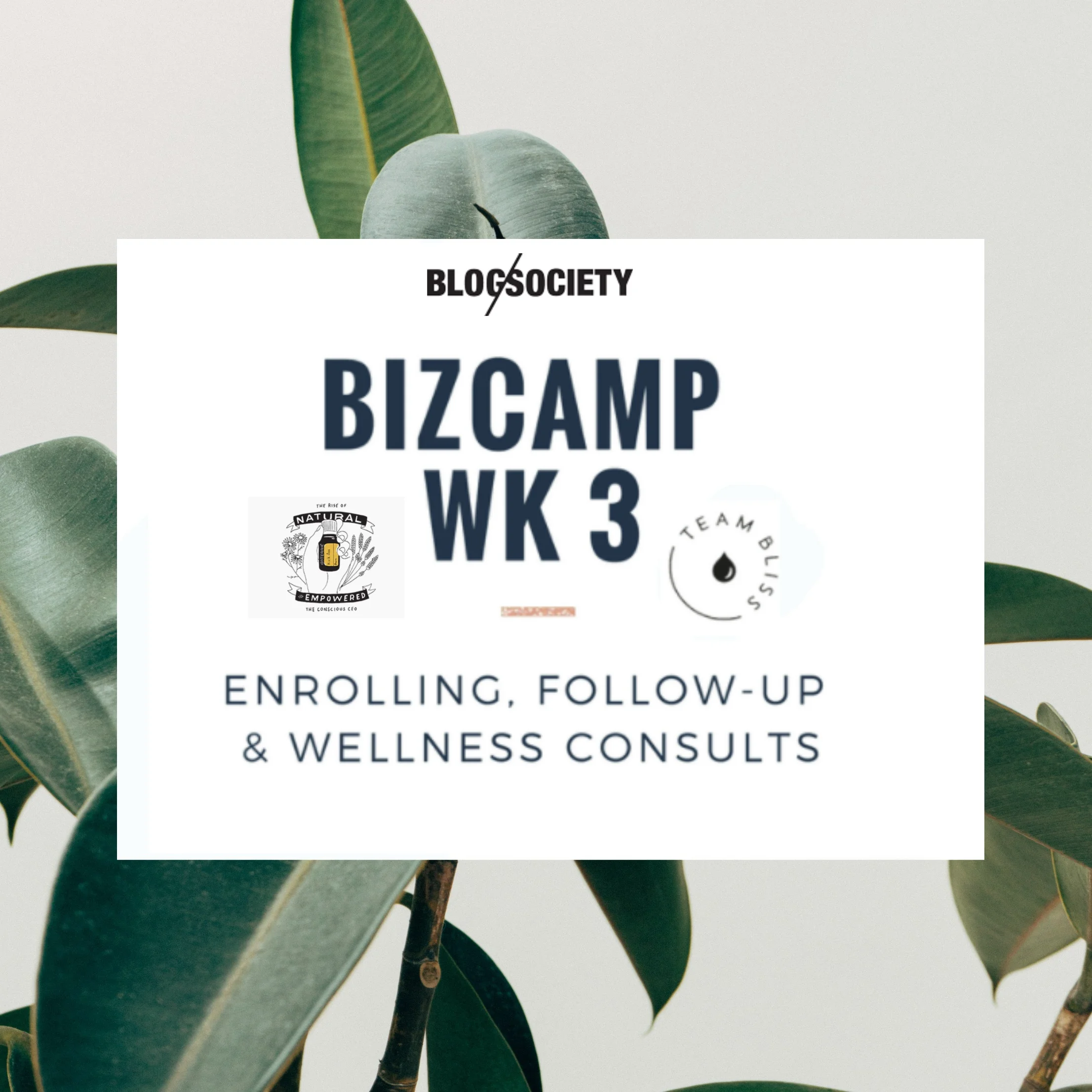 3bizcamp.jpg