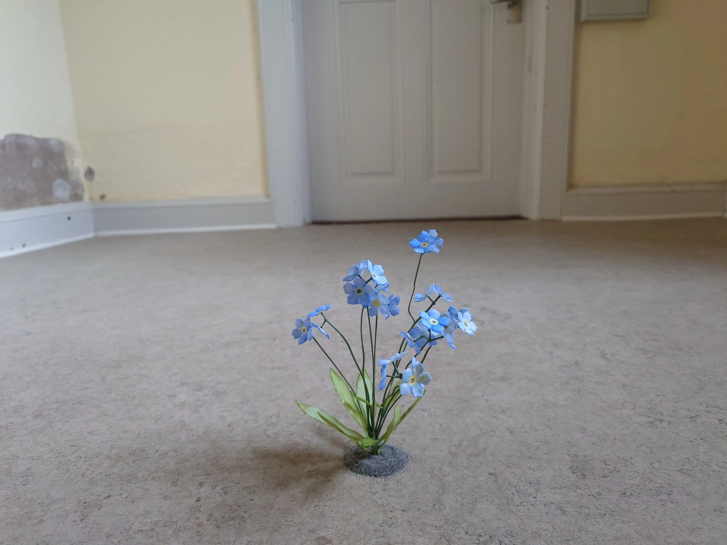 20240710_102826 (1).JPG