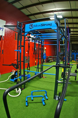 Functional fitness cage