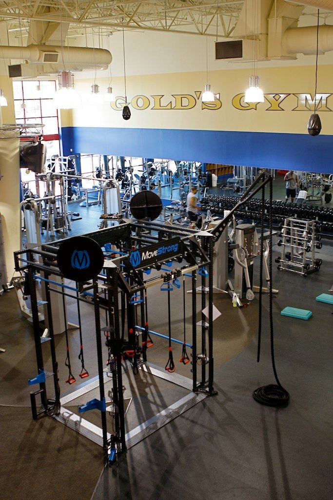 Golds gym functional training equipment