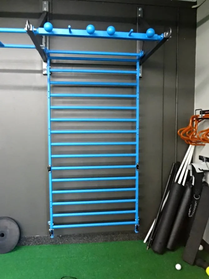 Pull-up bracket stall bars globe grips