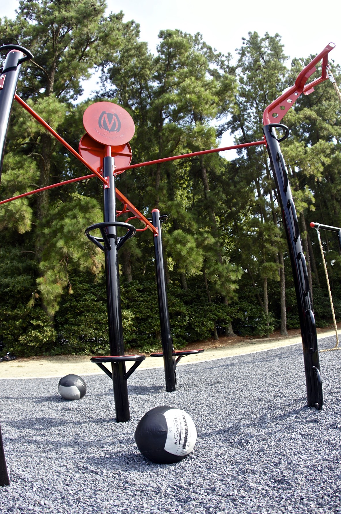 Pullup bar medicine ball taggert