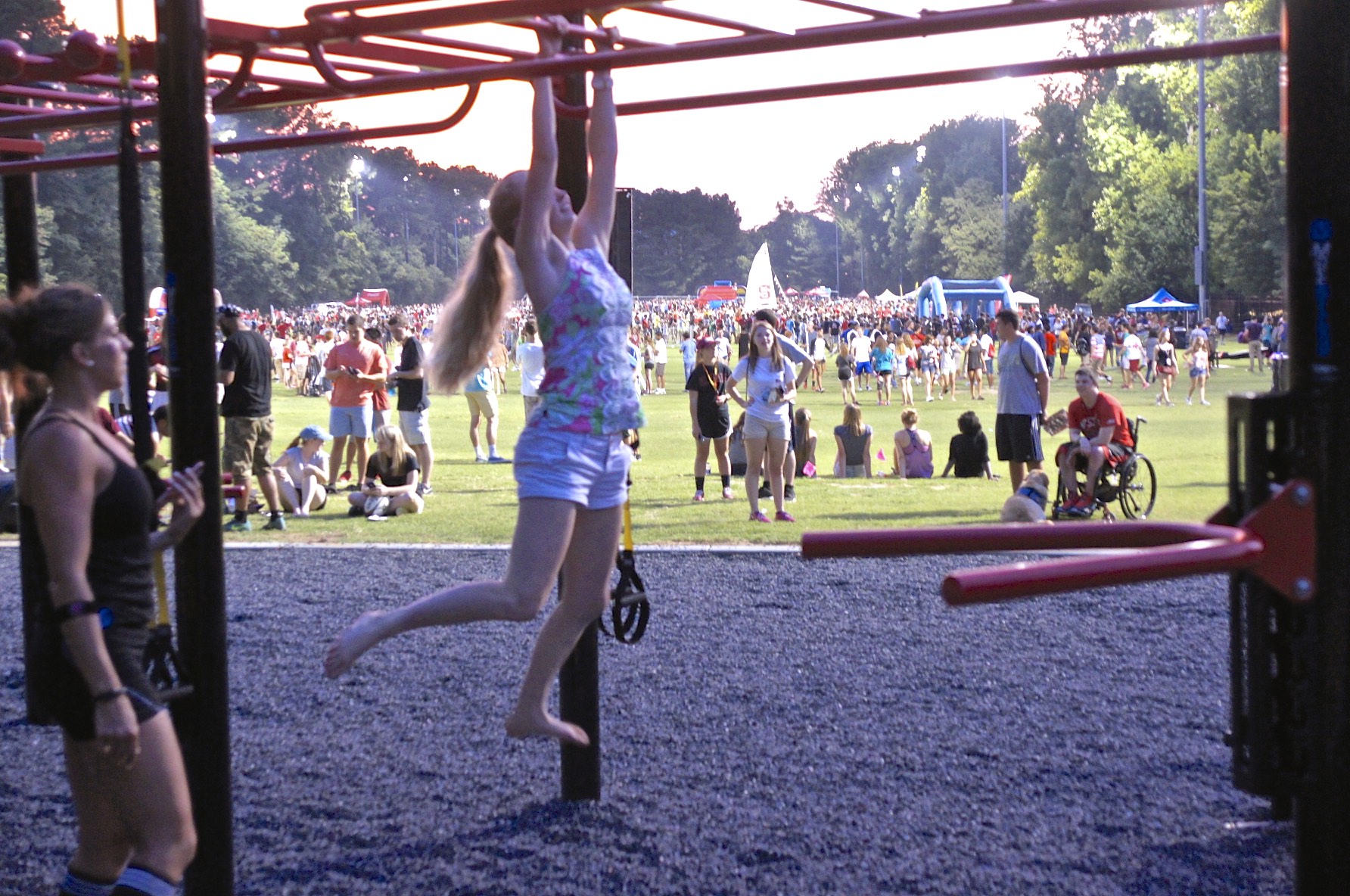 Outdoor monkey bars