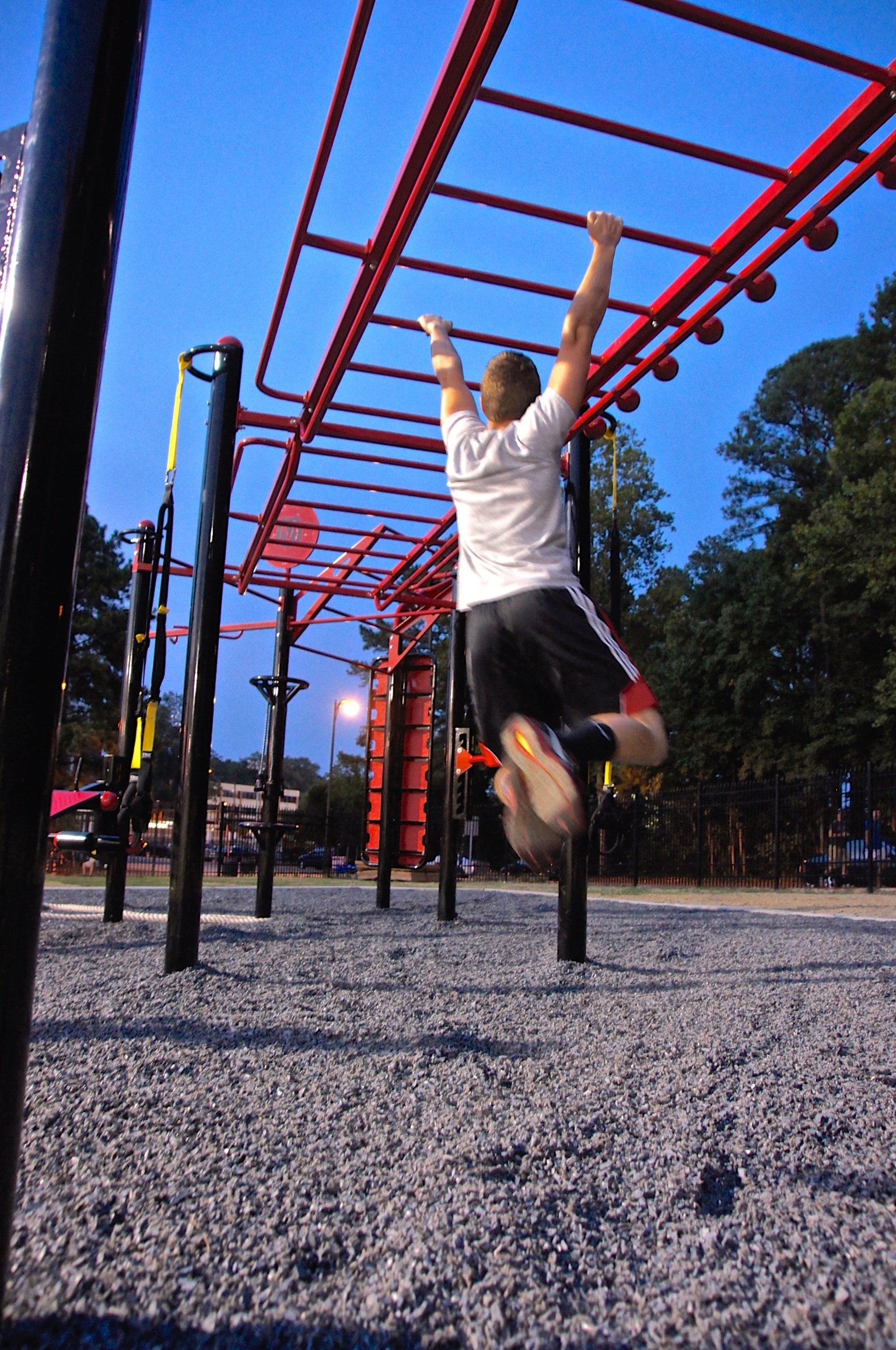 Outdoor monkey bar climb MoveStrong T-Rex