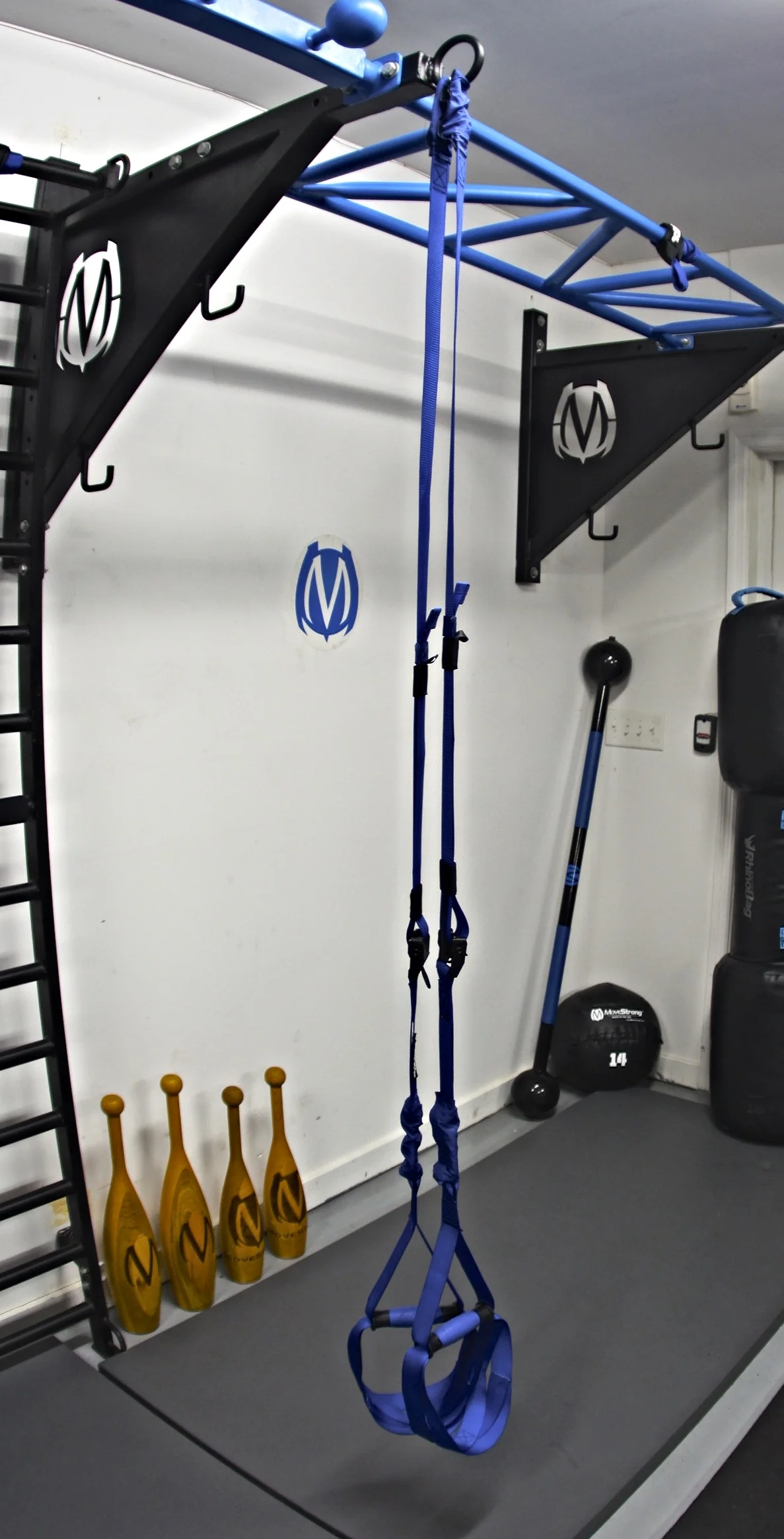 Elevate Trainer single anchor point