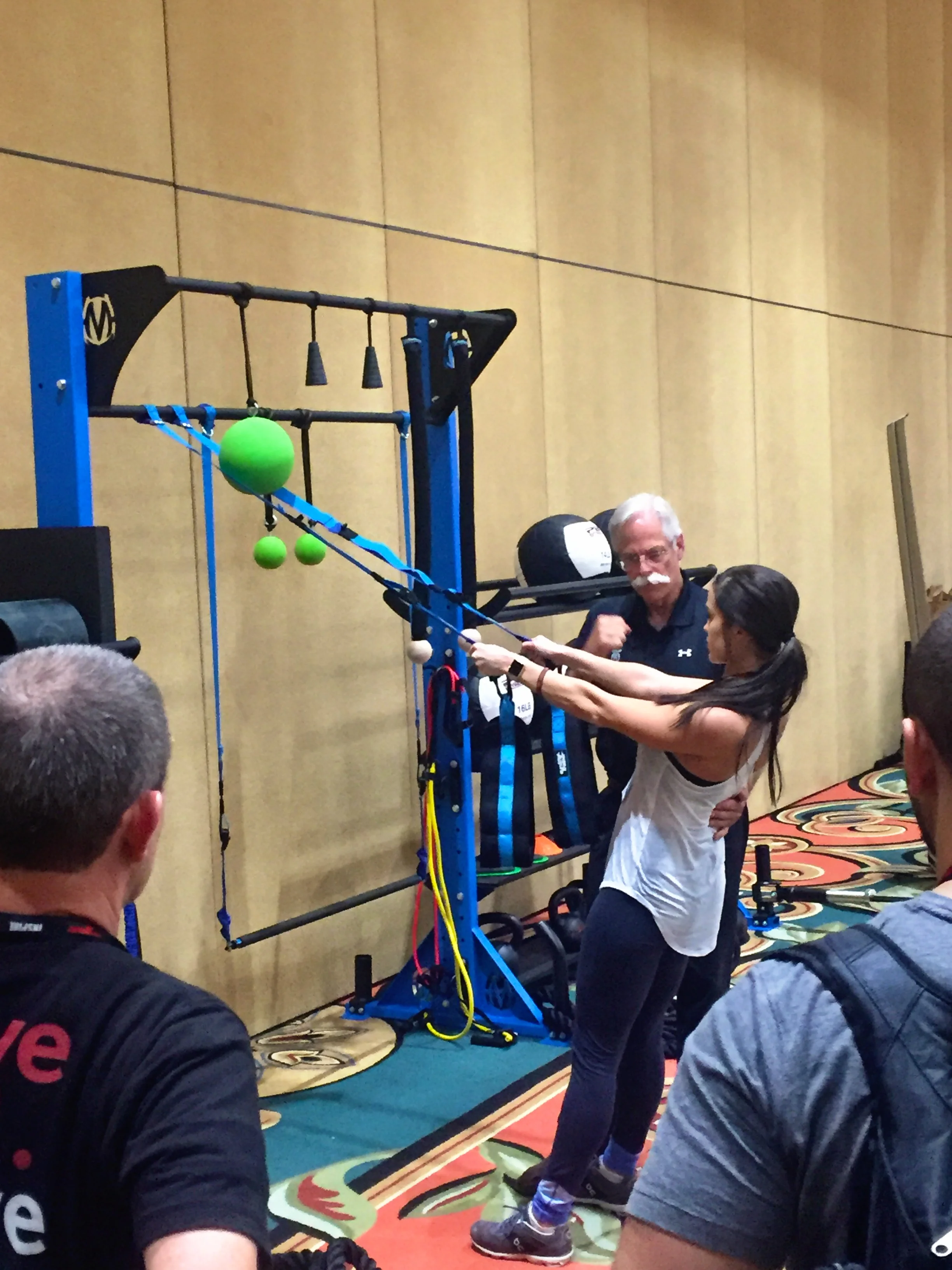 pull-up bar elevate suspension trainer