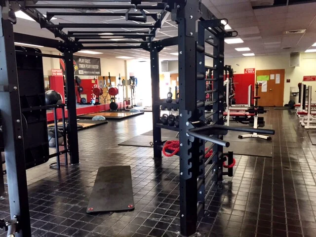 Horizontal staggered height monkey bars