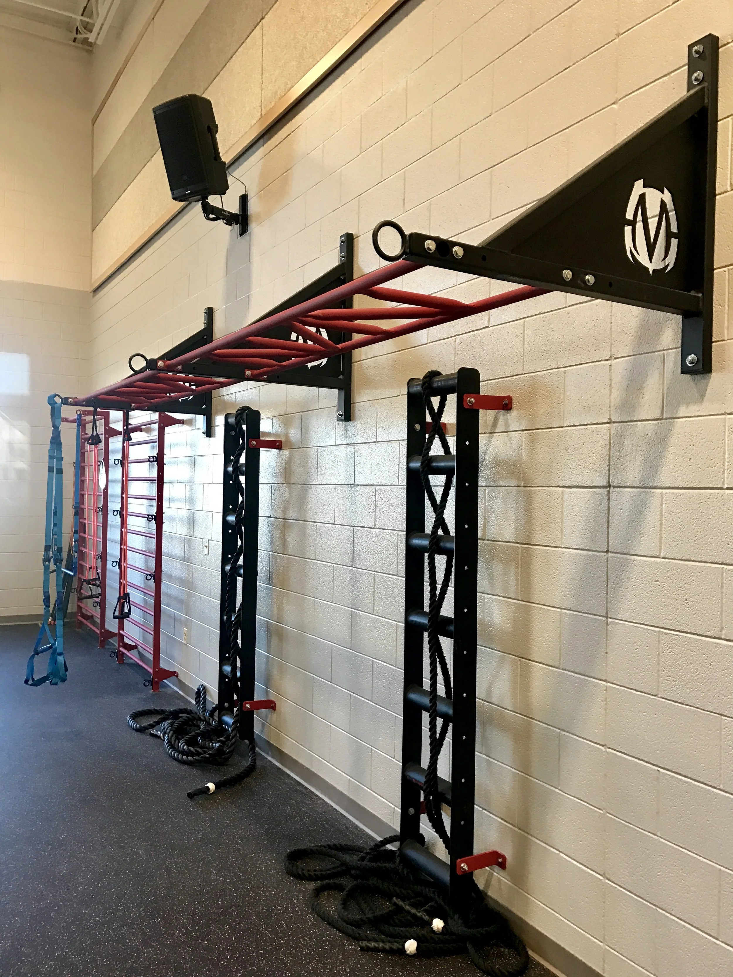 Wall mount monkey bars