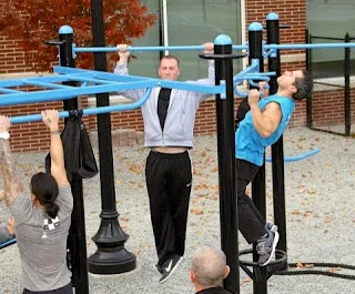 Custom T-Rex Outdoor Fitness Station in New Jersey