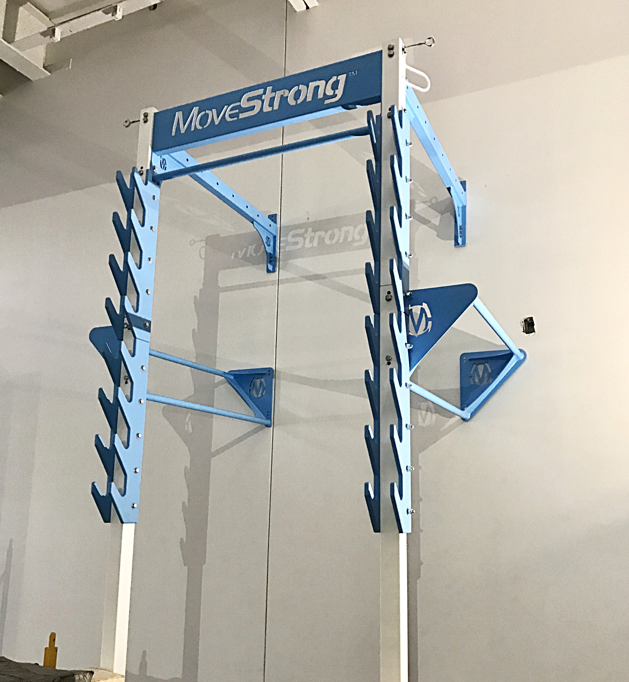 NEW MoveStrong Salmon Ladder Now Available!