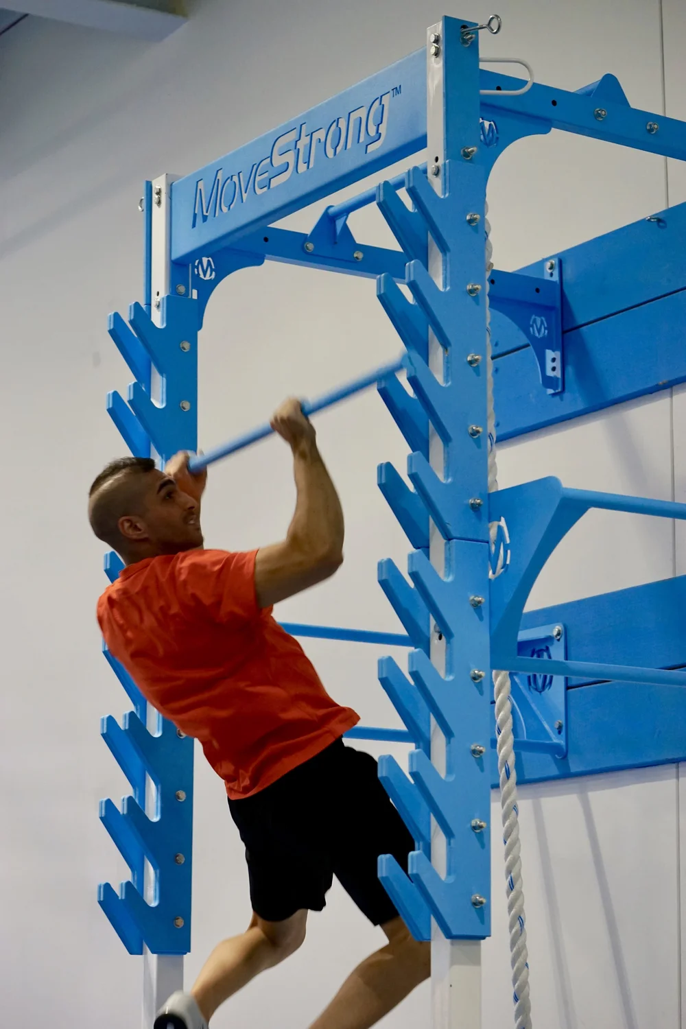 NEW MoveStrong Salmon Ladder Now Available! - MoveStrong, image size:1000x1500