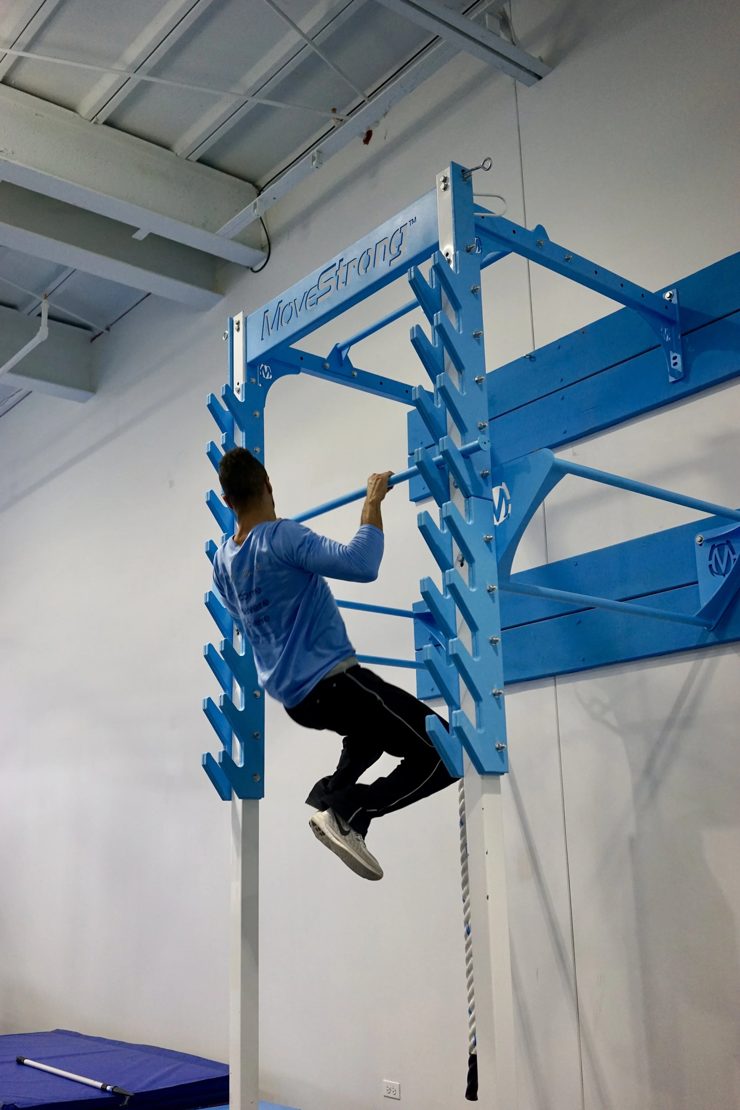 NEW MoveStrong Salmon Ladder Unique Multi-Use Design