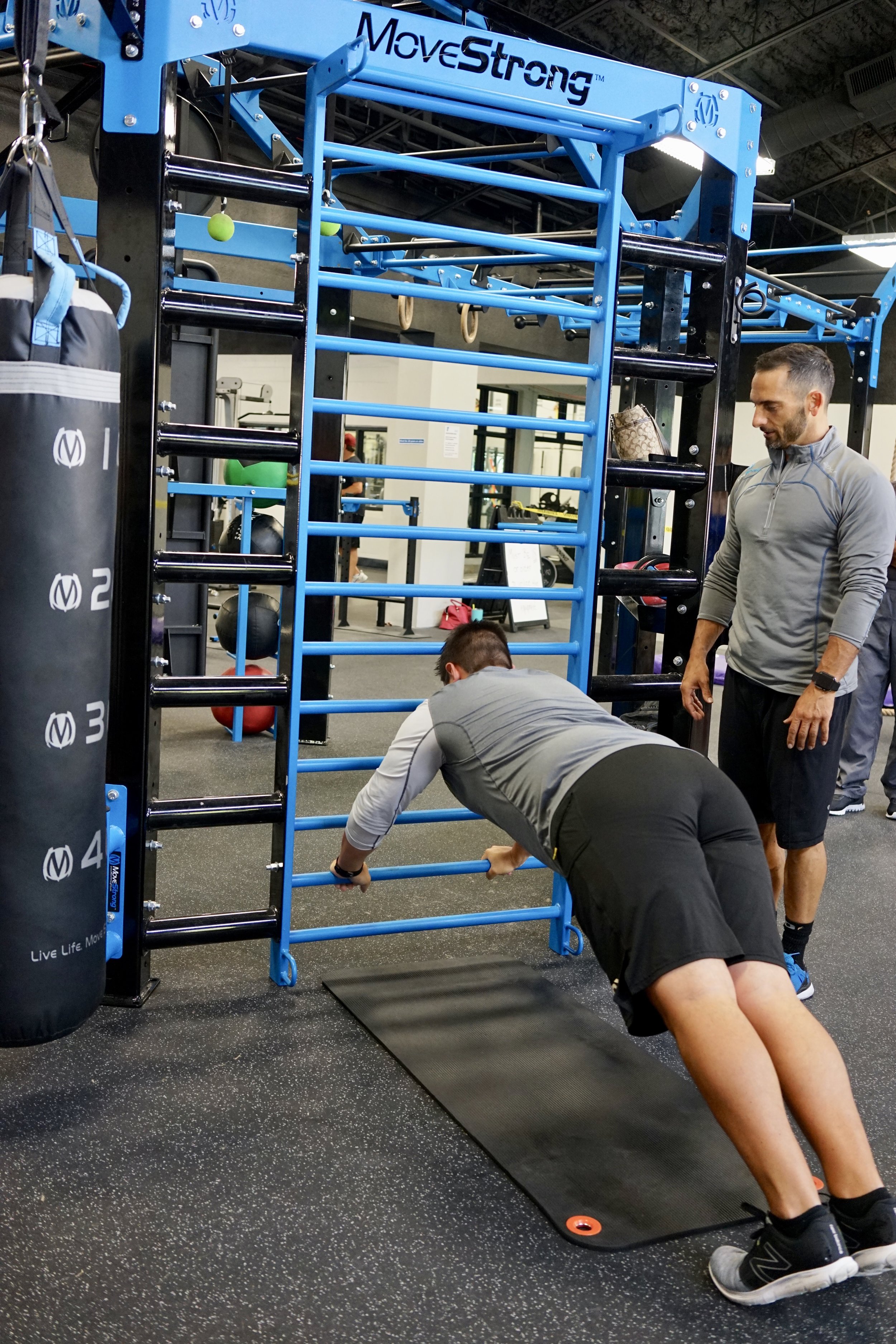 Stall Bars plank walk