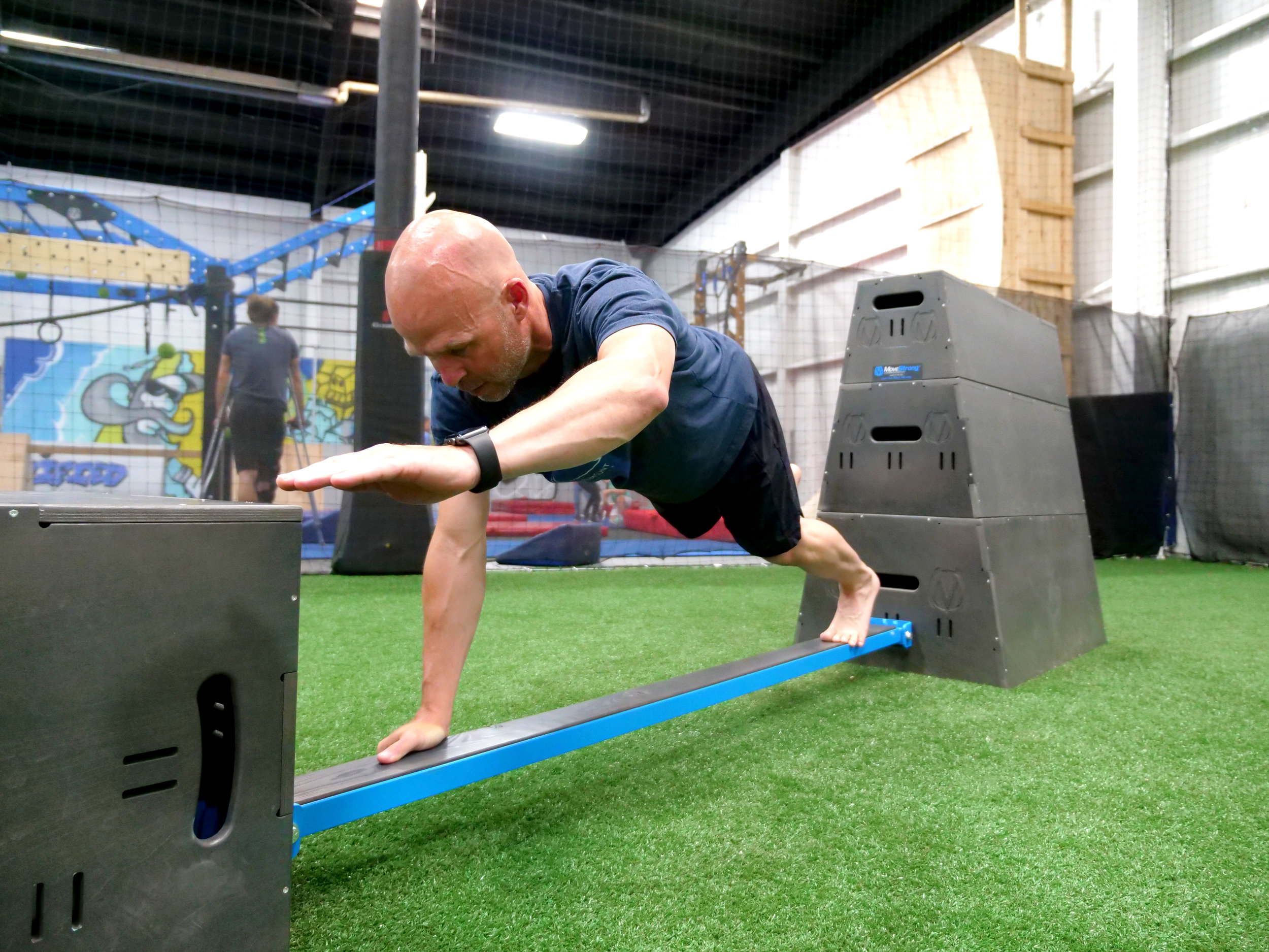 Alternate arm leg plank hold