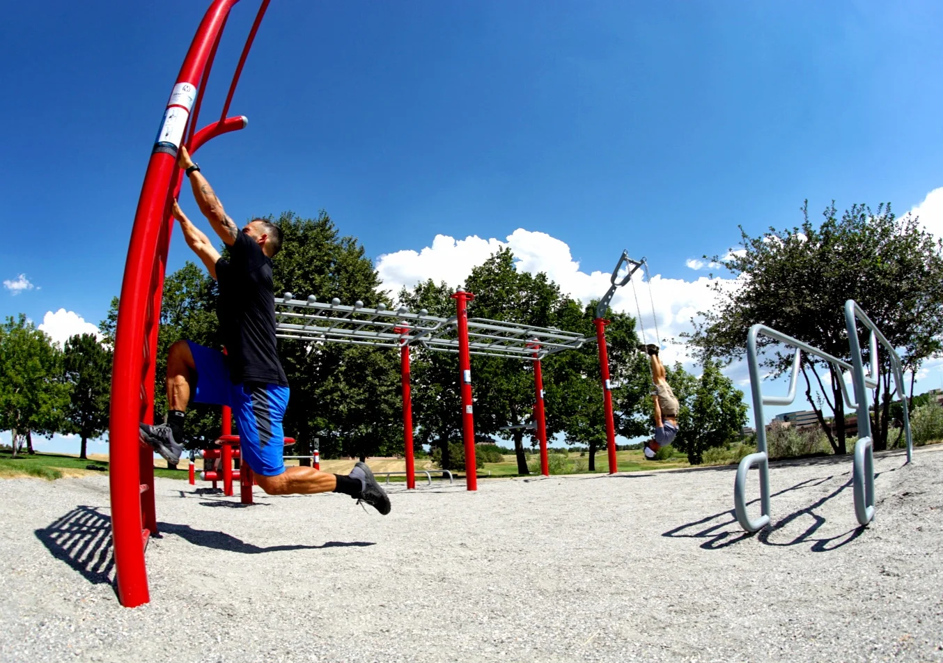 Stall Bars outdoor