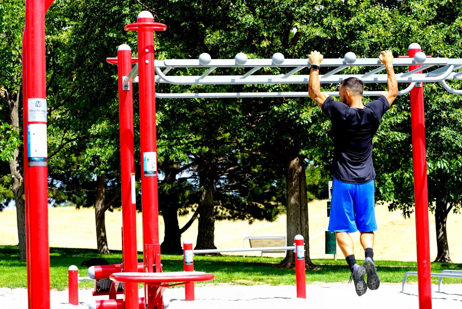 Globe Grip pull-ups