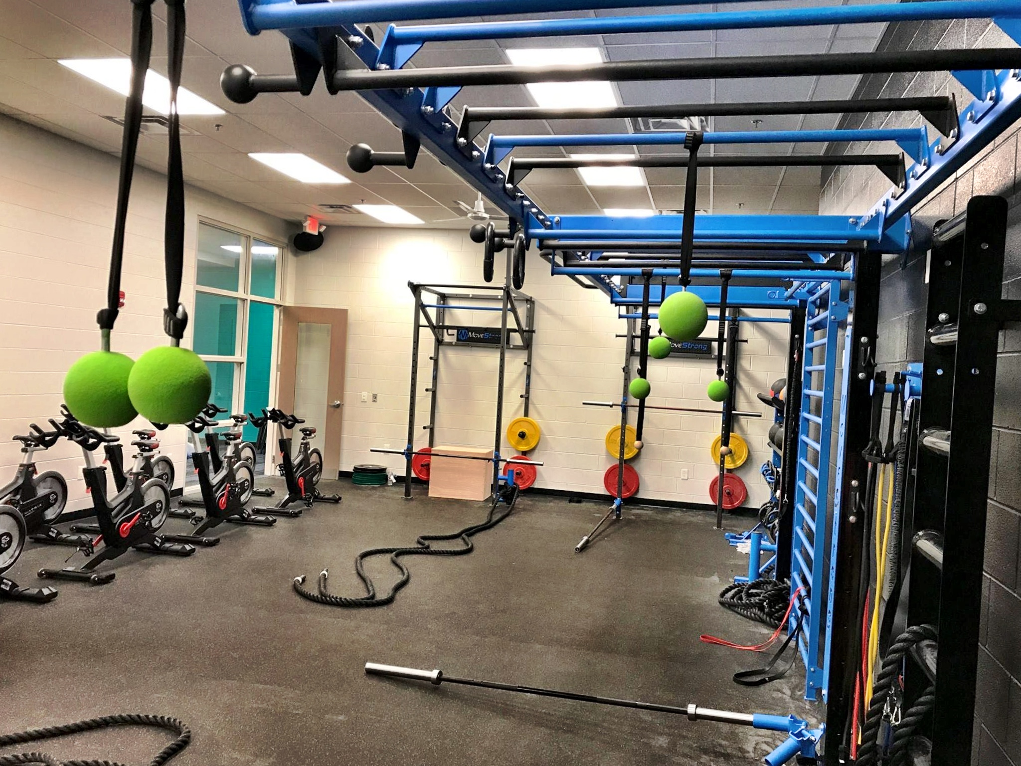 Wall mount monkey bars