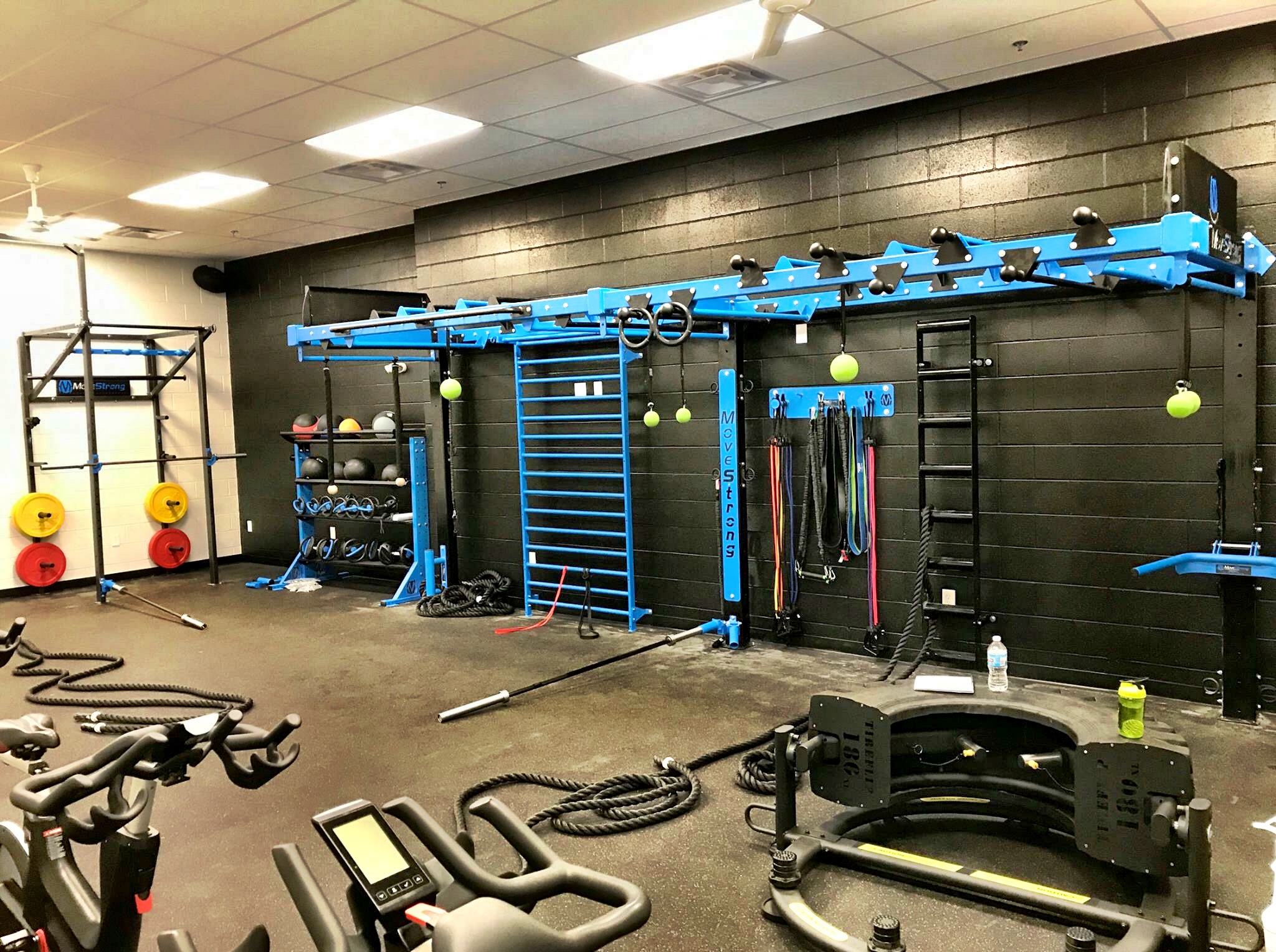 Wall mount functional training station