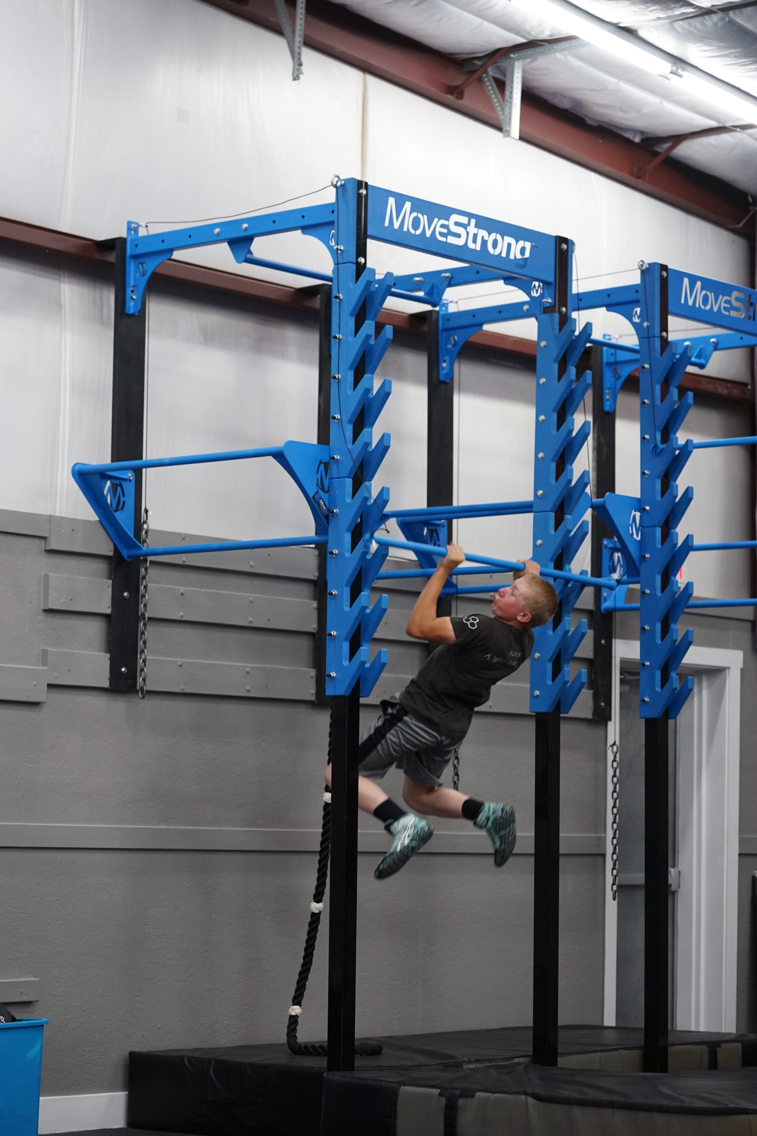 Wall mount Salmon Ladder