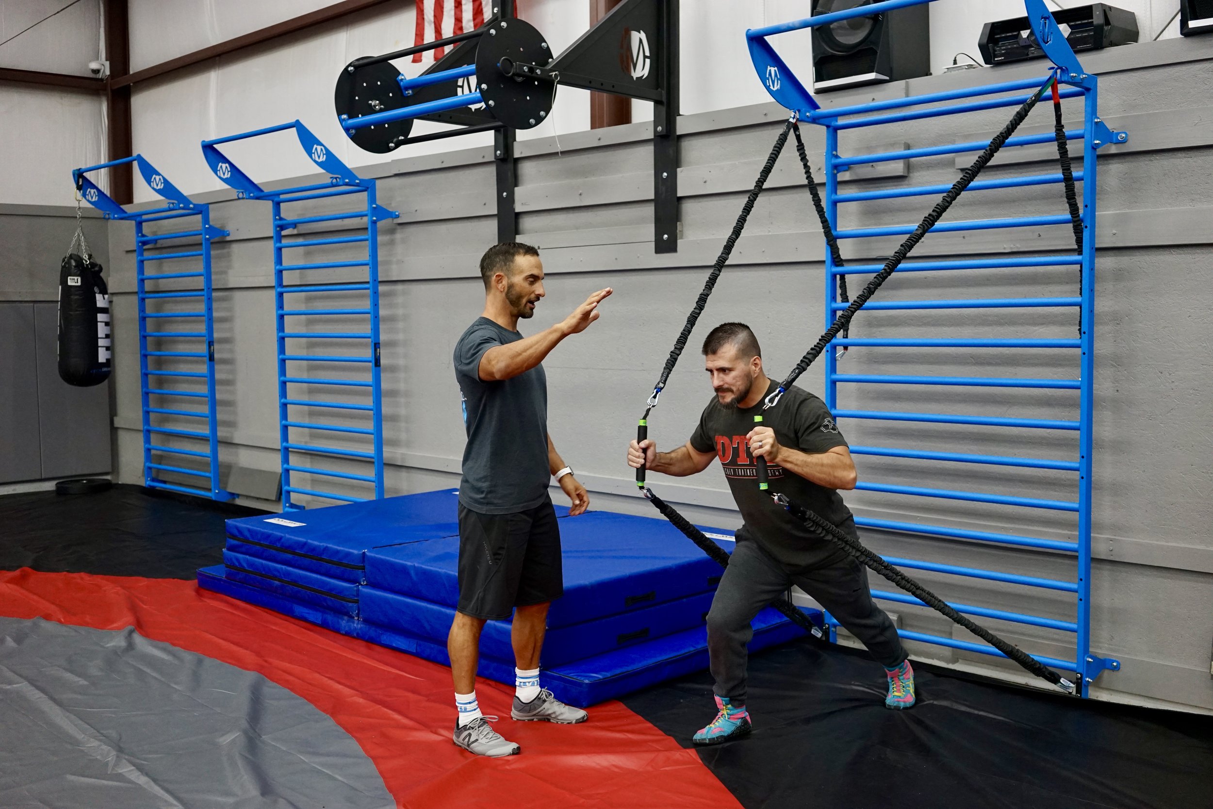 Stall Bars used with resistance bands